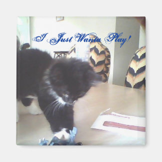 Aimant Je Veux Juste Jouer !