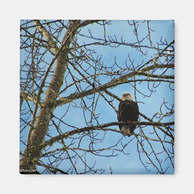 Aimant Je vous regarde (Devant)