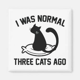 Aimant J'étais il y a les trois chats normaux
