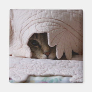 Aimant Jeter un coup d'oeil à l'aimant Tom