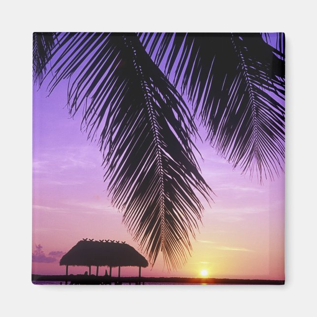 Aimant John Pennekamp State Park, Florida Keys, Key (Devant)