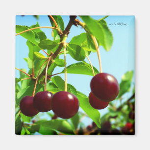 Aimant Joies d'été - cerises rouges
