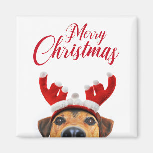 Aimant Joli bandeau à bois de renne de Noël pour chien dr