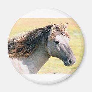Aimant Joli cheval