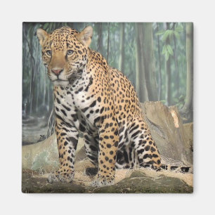 Aimant Joli Jaguar