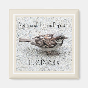 Aimant Joli Oiseau Bruant Photo Bible Verse Simple Tan