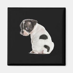 Aimant Joli Petit Chien Sleepy Chien Face Pour Amoureux d