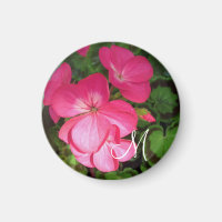 Jolie fille rose Geranium Monogramme photo