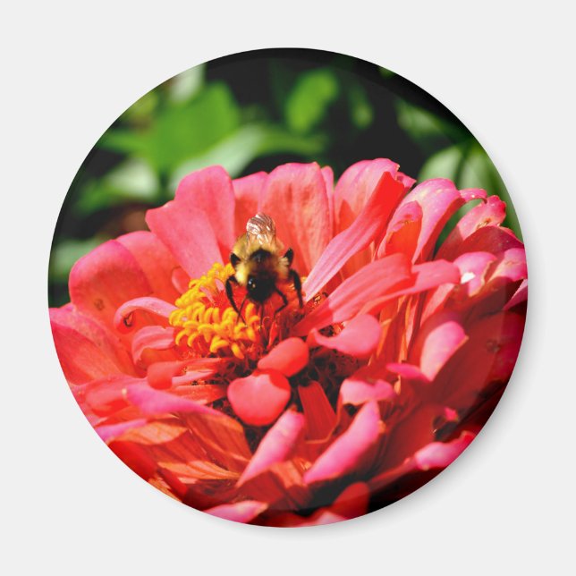 Aimant Jolie fleur rouge et abeille de miel (Devant)