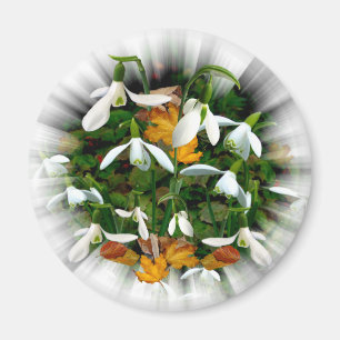 Aimant Jolie neige de printemps blanche