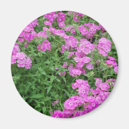 Aimant Jolies Fleurs Roses