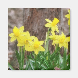 Aimant Jonquilles jaunes lumineuses