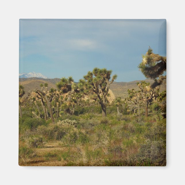 Aimant Joshua Tree National Park Paysage du désert (Devant)