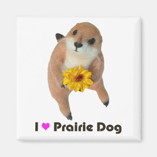 Aimant jouet farci pour chien des prairies