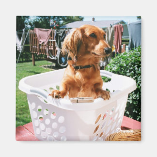 Aimant Jour de blanchisserie