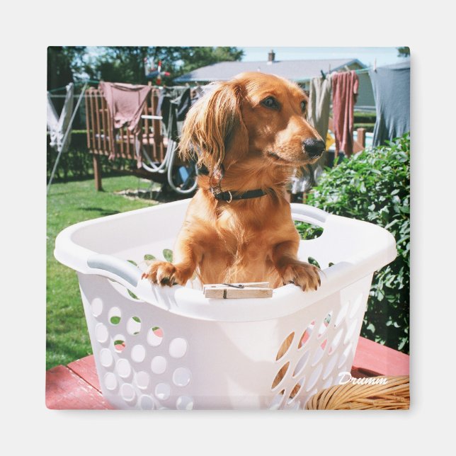 Aimant Jour de blanchisserie (Devant)