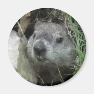 Aimant Jour de Groundhog