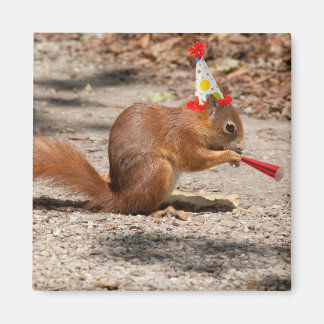Aimant Joyeux écureuil d'anniversaire
