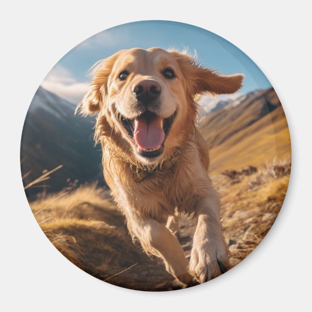 Aimant Joyeux Golden Retriever en cours (Devant)