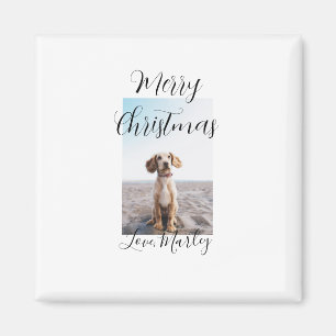 Aimant Joyeux Noël animal chat chat photo cadeaux de vaca