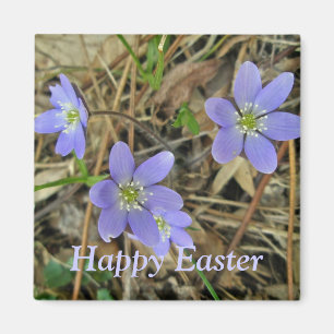 Aimant Joyeux Pâques bleu doux Hepatica Fleur sauvage Mag