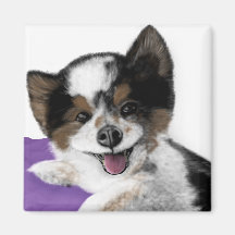 Joyeux visage de chien