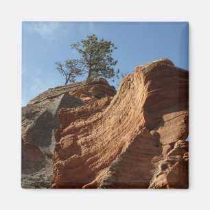 Aimant Jusqu'à Angels Landing dans le parc national de S