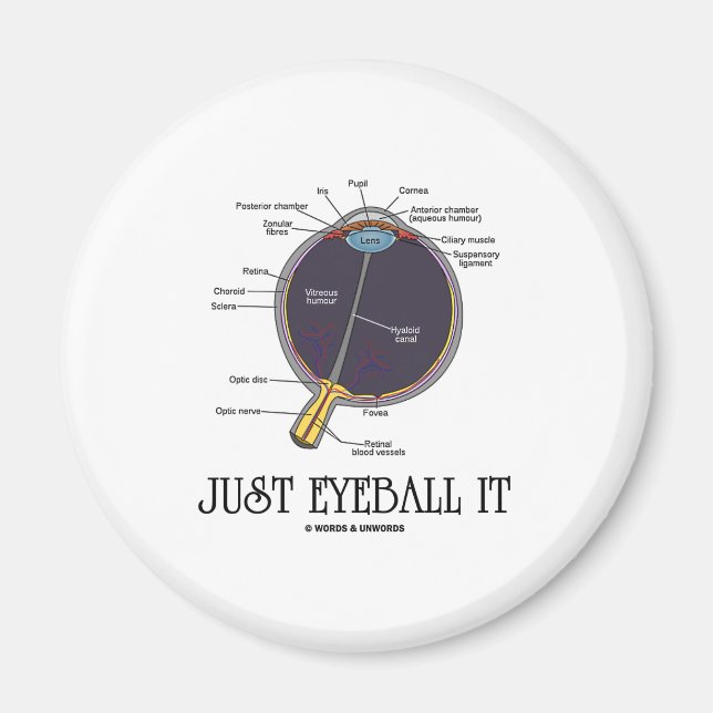 Aimant Juste Eyeball It (Eye Anatomy Approximation Dit) (Devant)