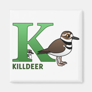 Aimant K est pour le Killdeer