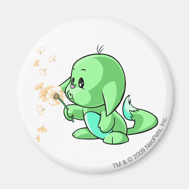 Aimant Kacheek Green (Devant)