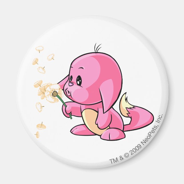 Aimant Kacheek Pink (Devant)