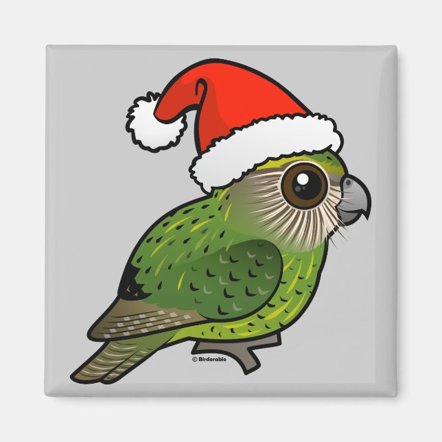 Aimant Kakapo Claus (Devant)