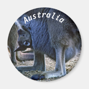 Aimant Kangourou bébé dans la poche de la mère - Australi