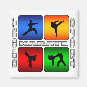 Aimant Karate spectaculaire