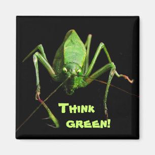 Aimant Katydid Think Green