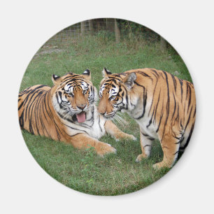 Aimant khan-n-china009