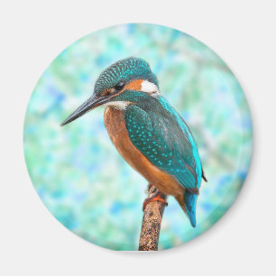 Aimant Kingfisher Bird Blue Abstrait