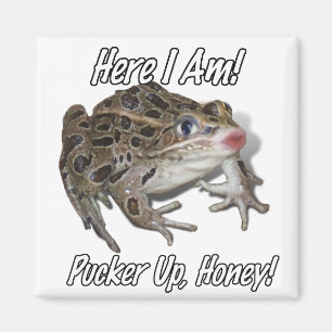 Aimant Kissing Frog - Pucker Up, Chéri!