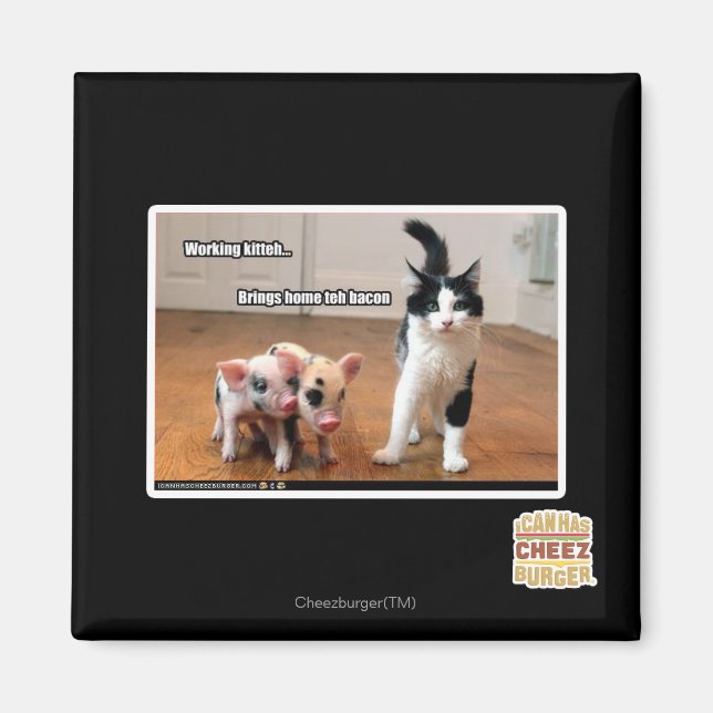 Aimant Kitteh (Devant)