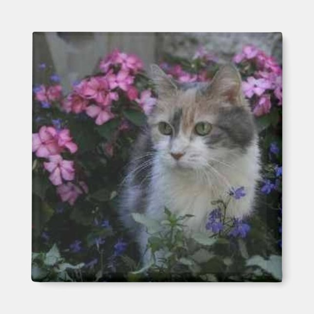 Aimant Kitty (Devant)