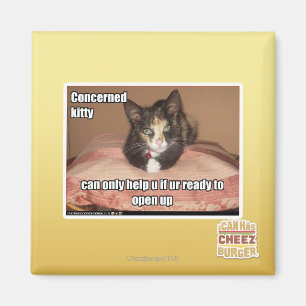 Aimant Kitty Concerné