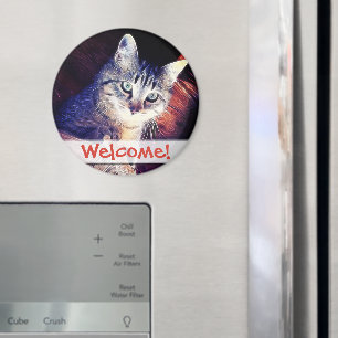 Aimant Kitty dans la photographie de plan rapproché de