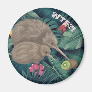 Aimant Kiwi