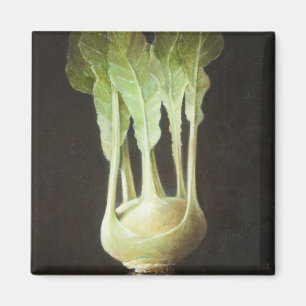 Aimant Kohl Rabi 2012