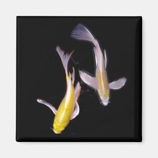 Aimant Koi Pair jaune (Devant)
