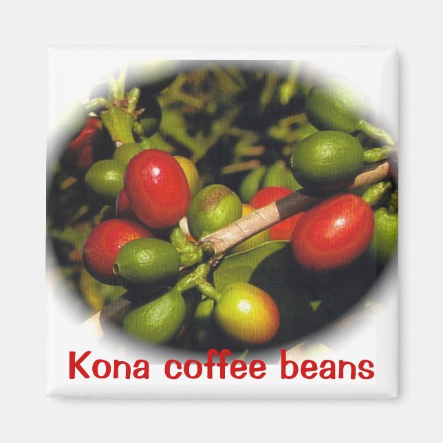 Aimant Kona Coffee Beans (Devant)