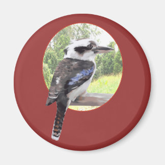 Aimant Kookaburra en cercle