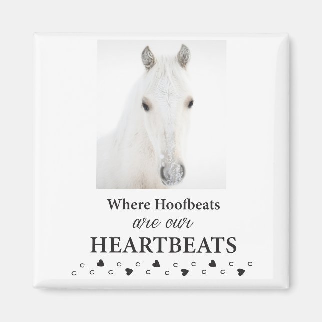 Aimant Kootenai (Devant)