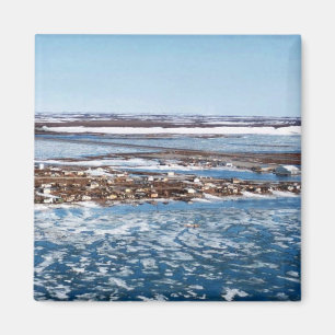 Aimant Kotzebue