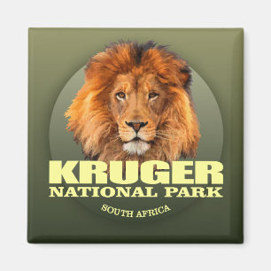 Aimant Kruger NP (Lion) WT